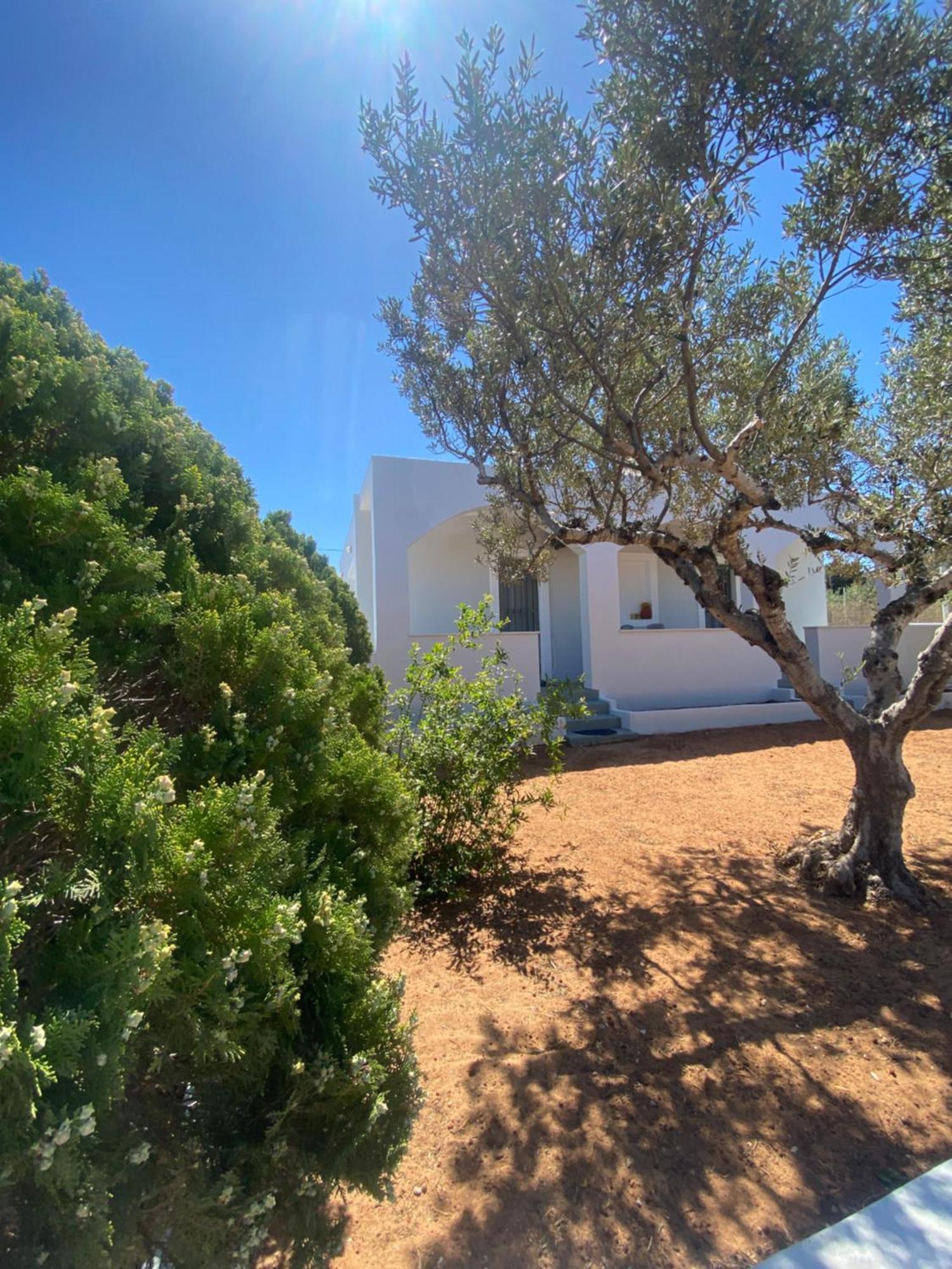 Okio - Μονοκατοικία Δίπλα Στη Θάλασσα Elafonissos Exterior foto